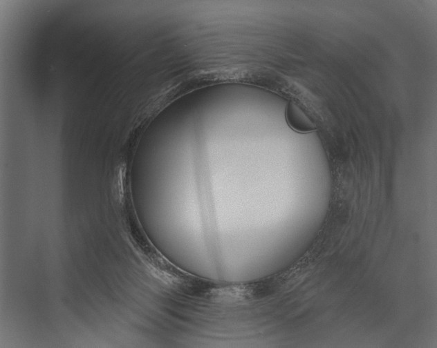 X0000073830118200608241001