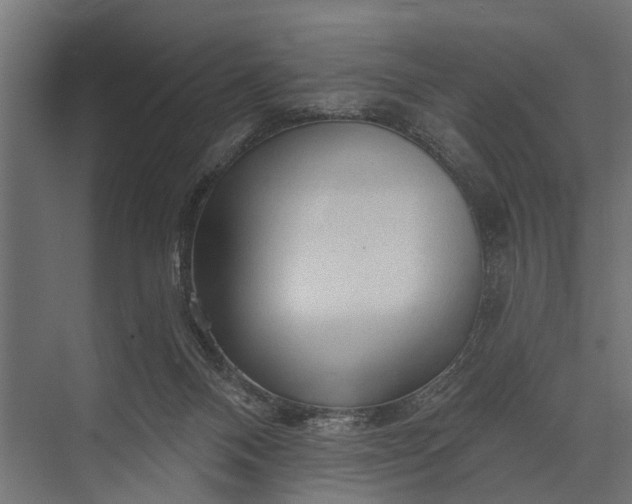 X0000073830120200608241001