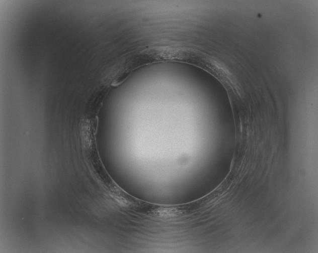 X0000073830121200608241001