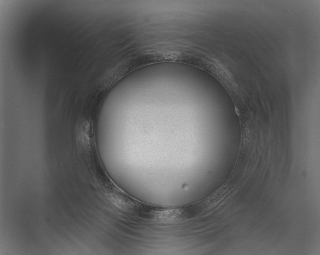 X0000073830122200608241001