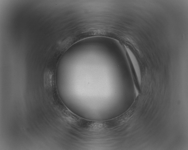 X0000073830123200608241001