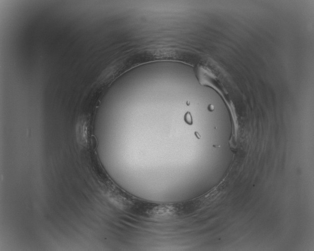 X0000073830124200608241001