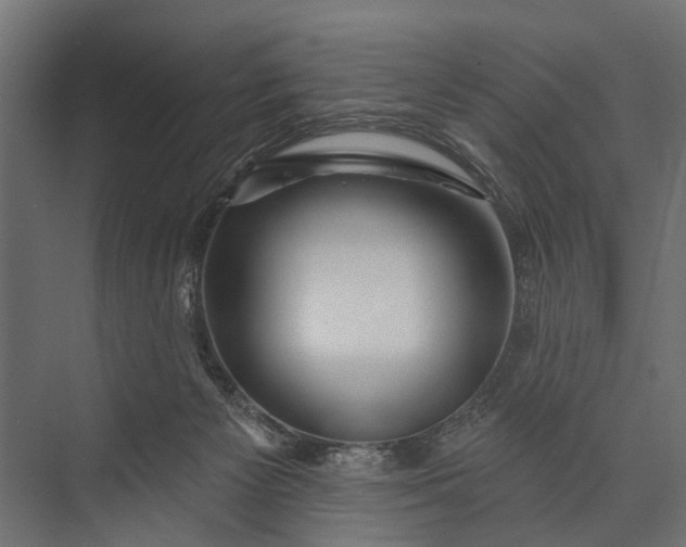 X0000073830125200608241001