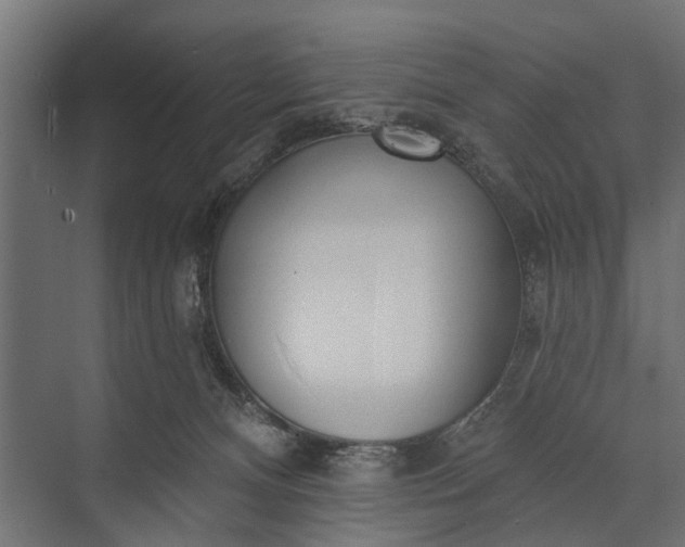 X0000073830128200608241001