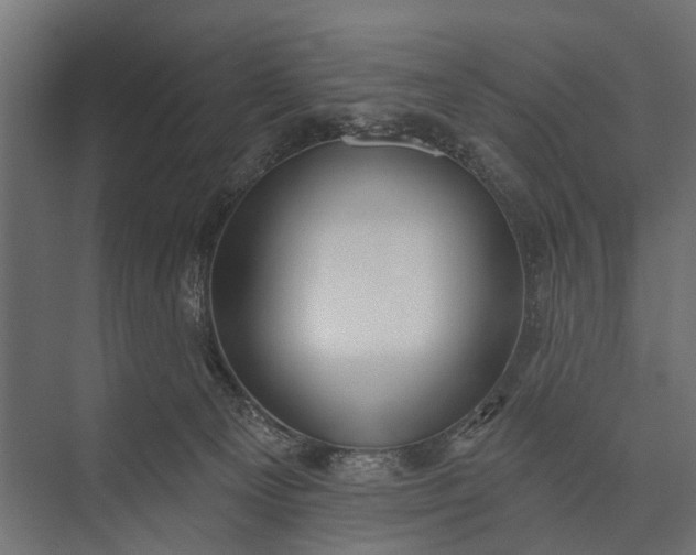 X0000073830129200608241001