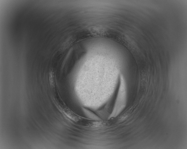 X0000073830130200608241001