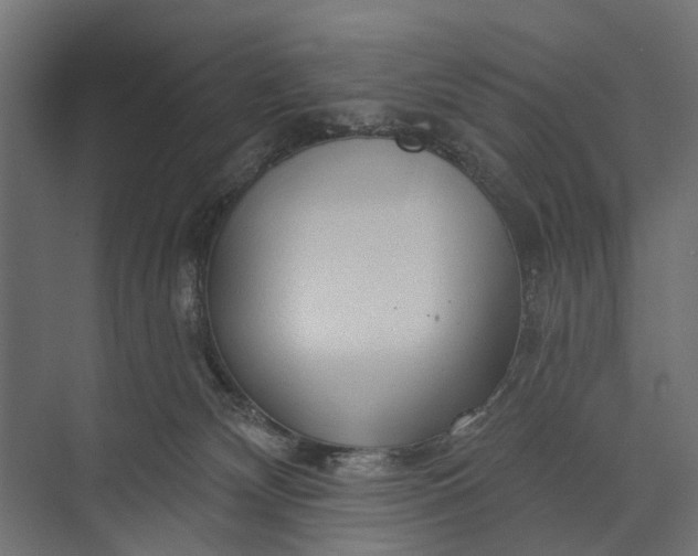 X0000073830132200608241001