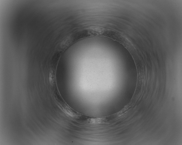 X0000073830134200608241000