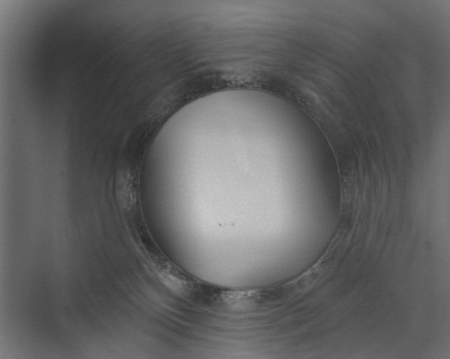 X0000073830136200608241000