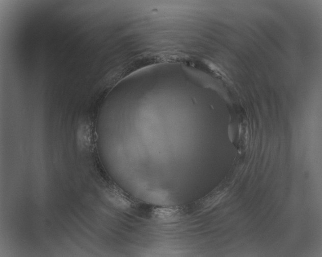 X0000073830139200608241000