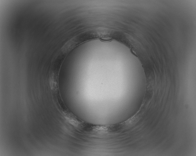 X0000073830140200608241000