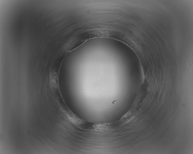 X0000073830141200608241000