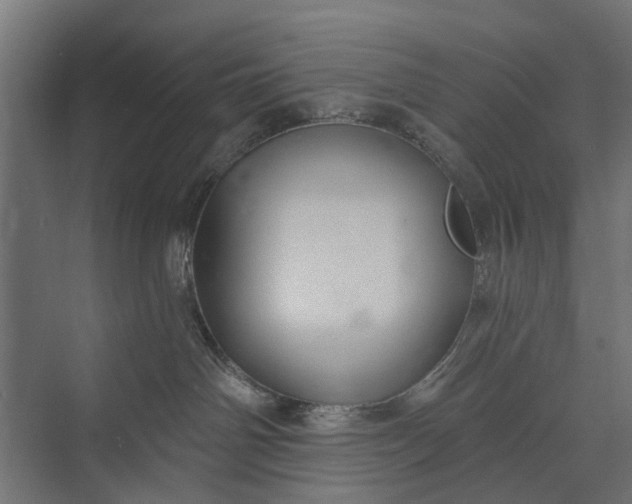 X0000073830142200608241000