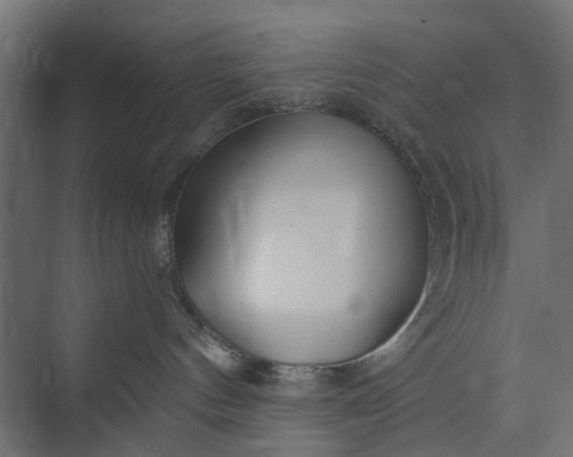 X0000073830144200608241000