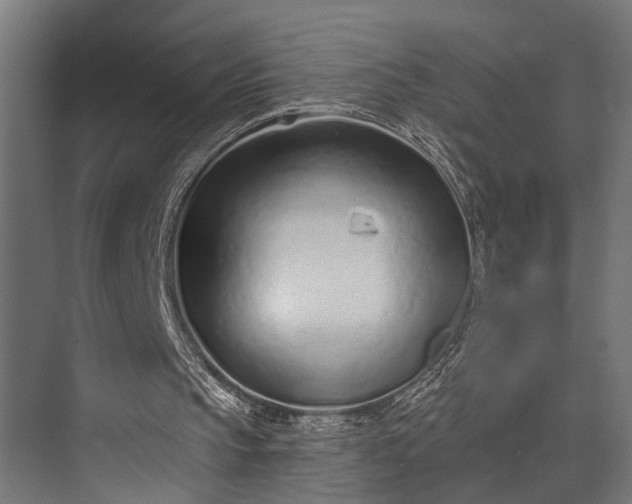 X0000073830145200608240959