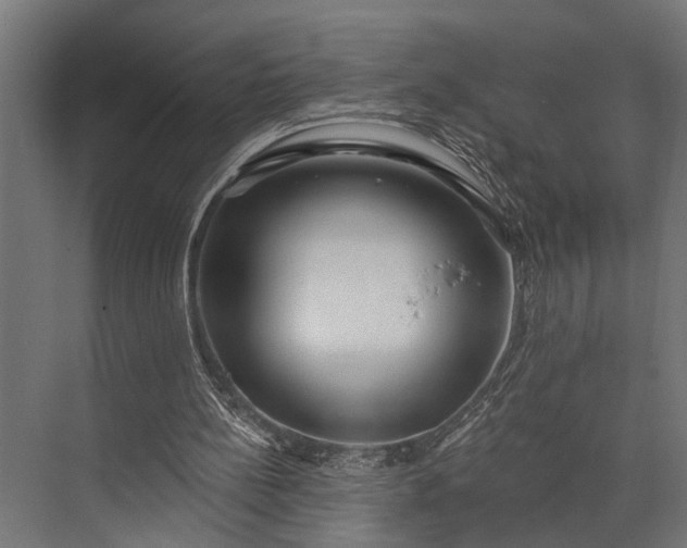 X0000073830148200608241000