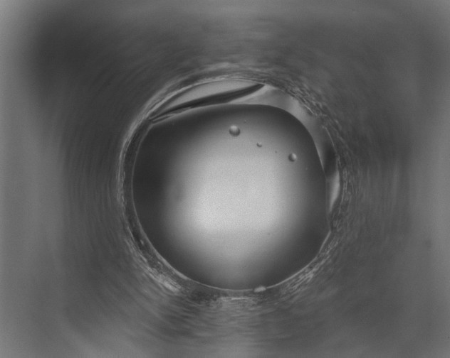 X0000073830150200608241000