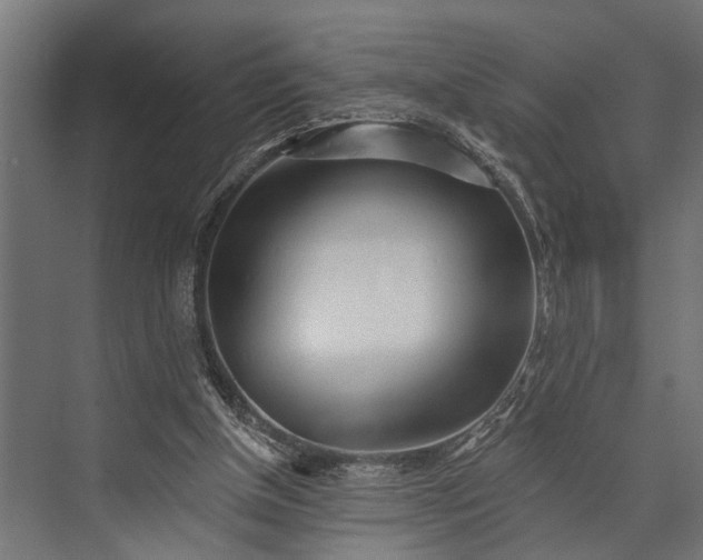 X0000073830154200608241000