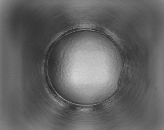 X0000073830155200608241000