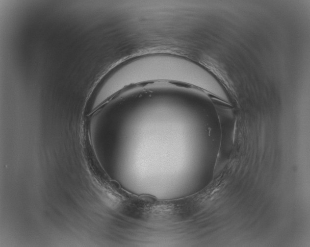 X0000073830156200608241000