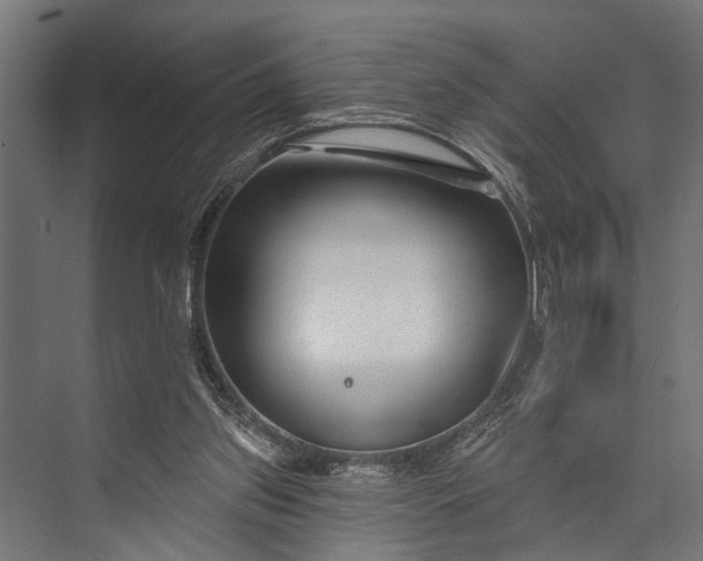 X0000073830157200608241000