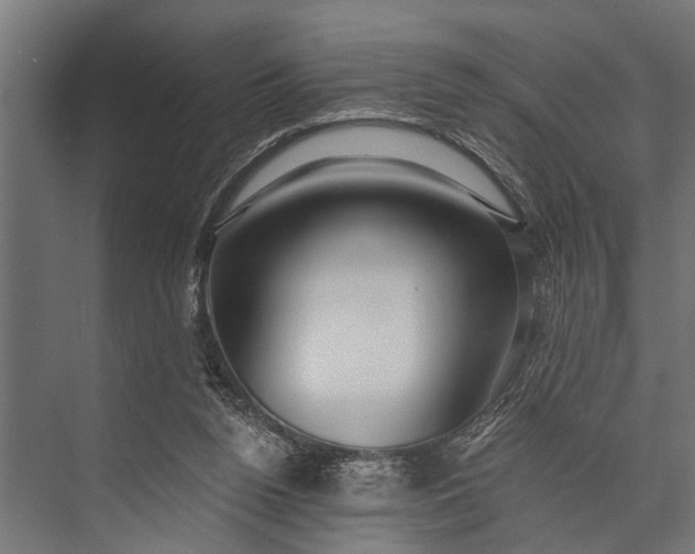 X0000073830160200608241000