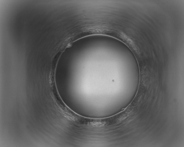 X0000073830161200608241000