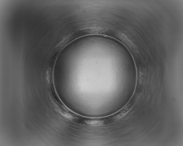 X0000073830165200608241000