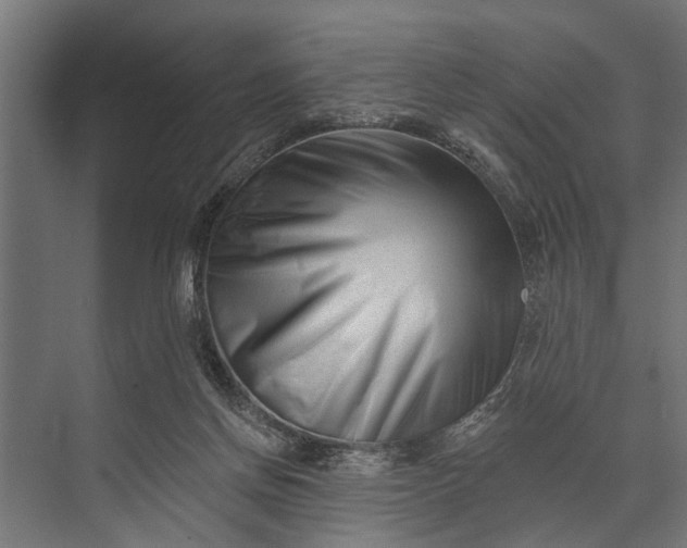 X0000073830166200608241000