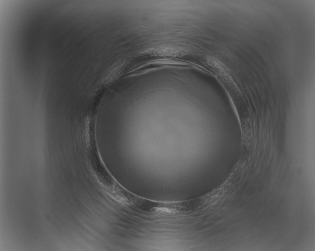 X0000073830167200608241000