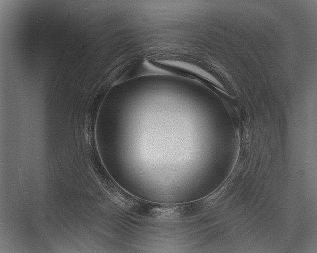 X0000073830170200608241000