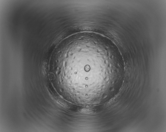 X0000073830171200608241000