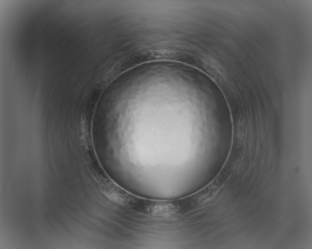 X0000073830173200608241000