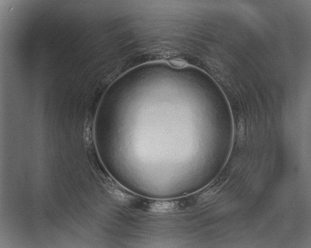 X0000073830177200608241000