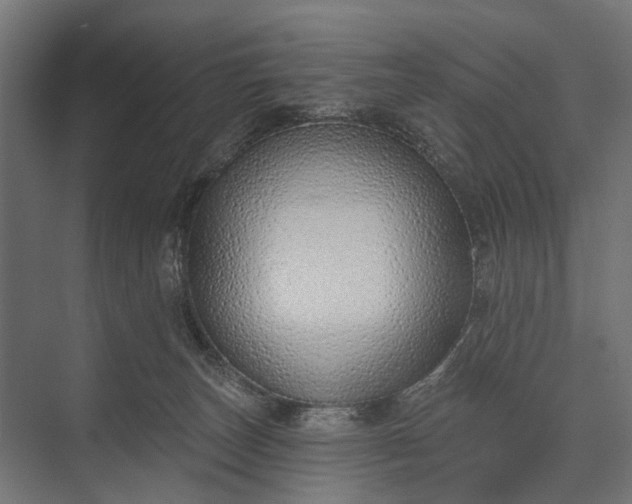 X0000073830179200608241000