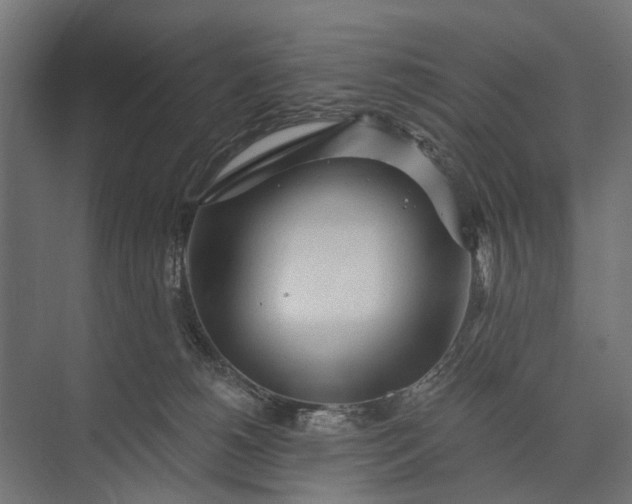 X0000073830180200608241000