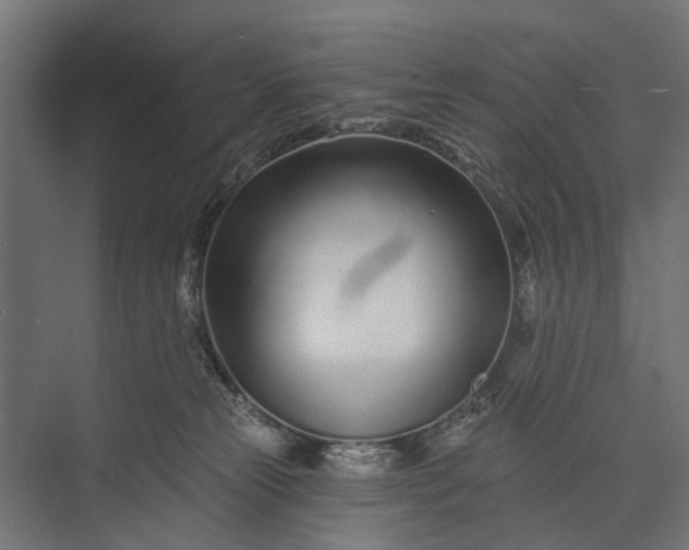 X0000073830181200608241000