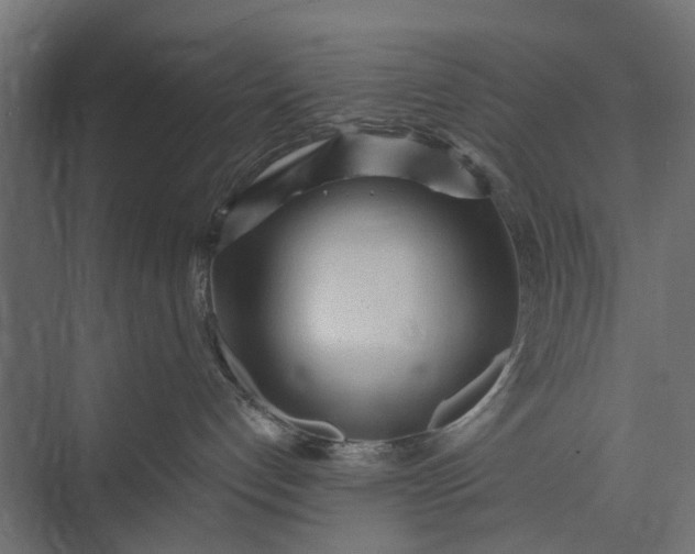 X0000073830192200608241000