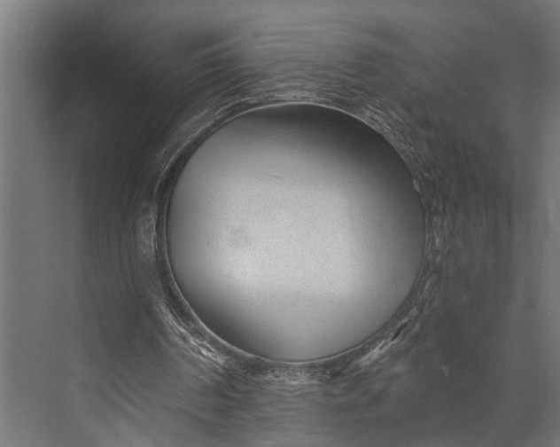 X0000073830194200608240959