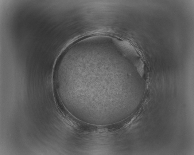 X0000073830196200608240959