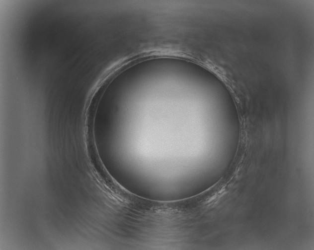 X0000073830199200608240959