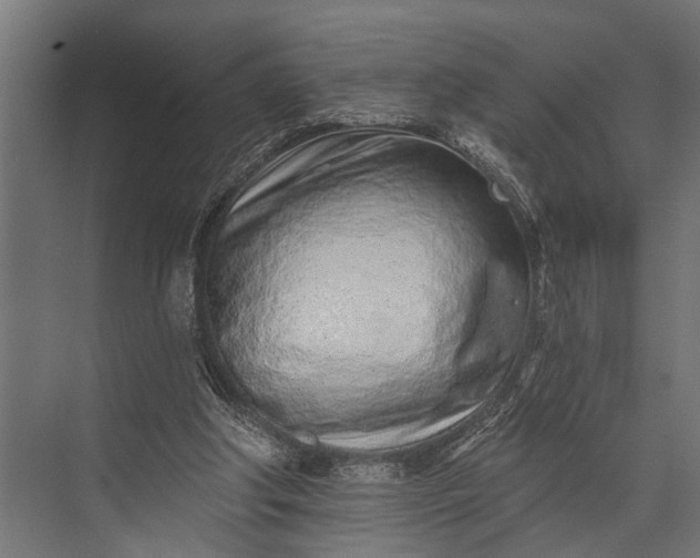 X0000073830202200608240959