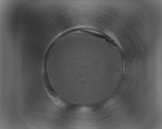 X0000073830204200608240959