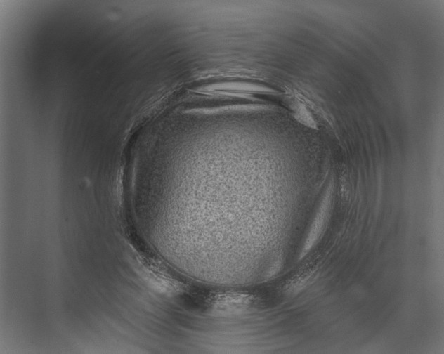 X0000073830206200608240959