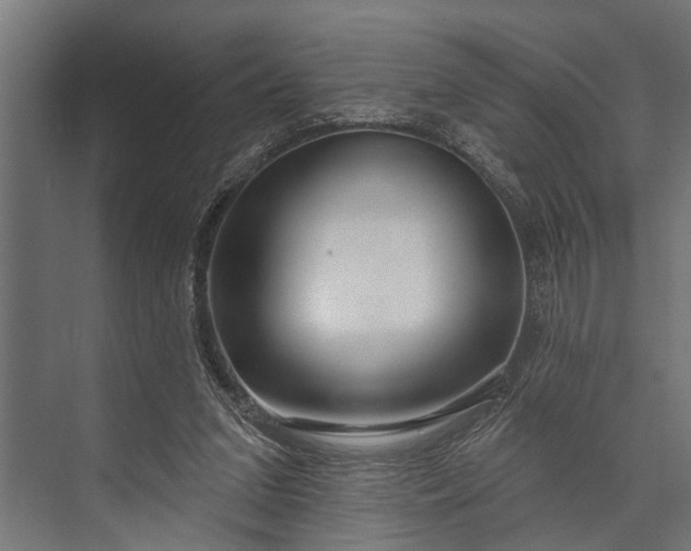 X0000073830207200608240959