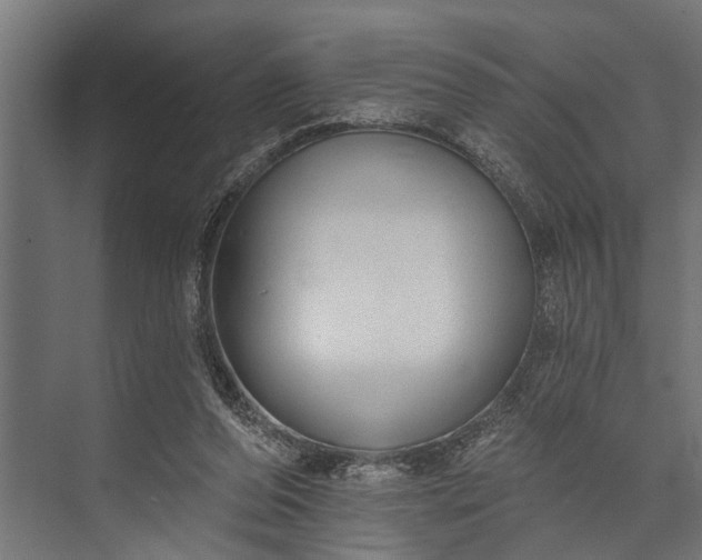 X0000073830208200608240959