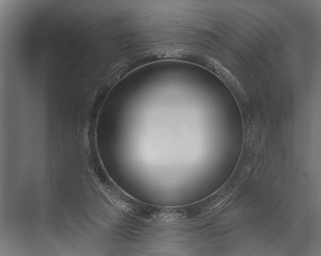 X0000073830209200608240959