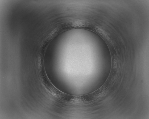 X0000073830211200608240959