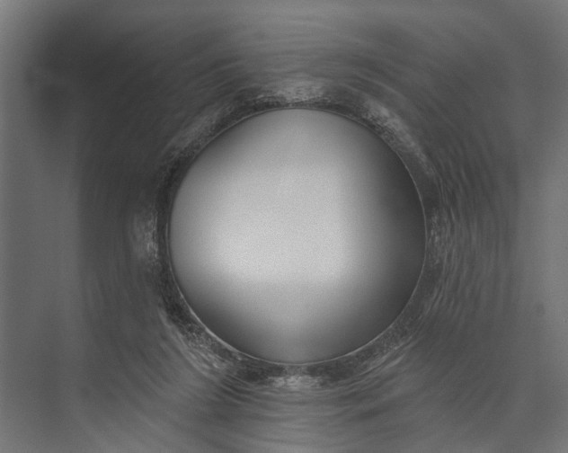 X0000073830212200608240959