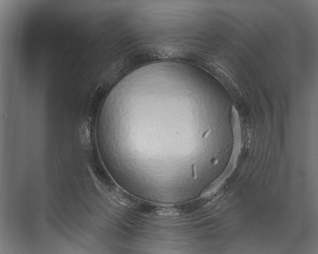 X0000073830214200608240959